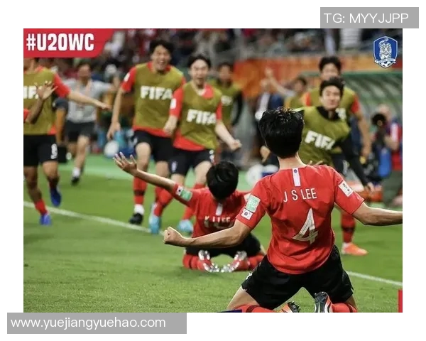 塞内加尔与南韩对决分析及胜负推荐策略分享