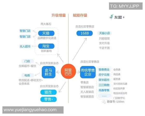 纳泰与森柏欧的精彩对决揭示了未来科技发展的新趋势与挑战