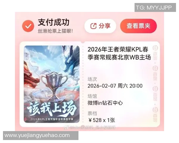 王者荣耀战术解析：深入剖析TES战队的防守策略与应对技巧